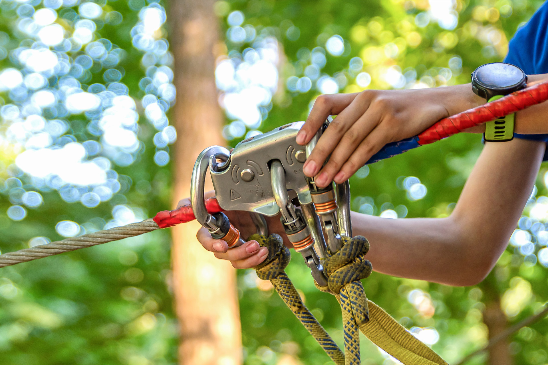 Kletterwald im Tannheimer Tal