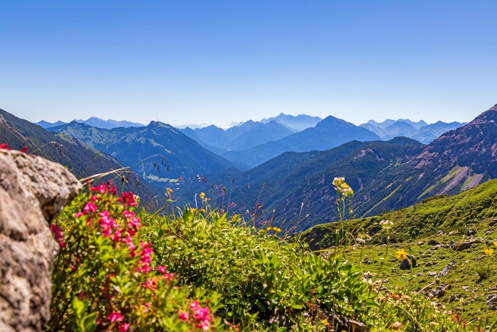 Sommermorgen in Jungholz im Tannheimer Tal mit Blick auf die Allgäuer Alpen